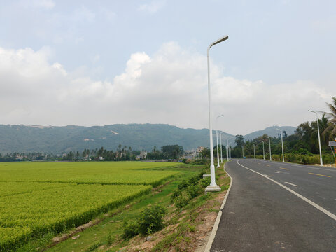 山川稻田田野