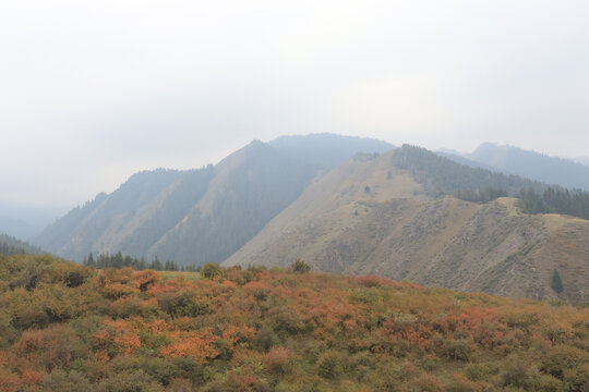 高山美景