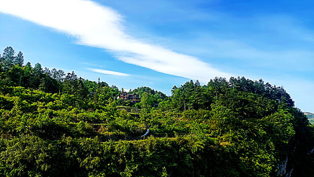 风景