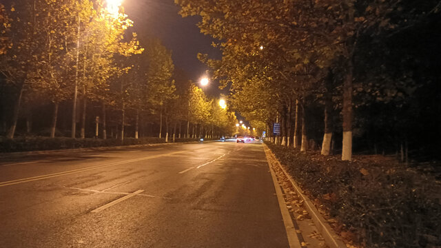 夜色下的枫林路