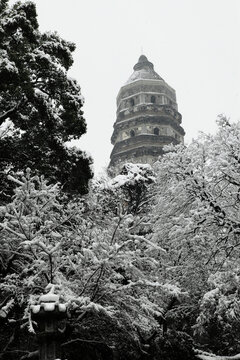 虎丘雪景