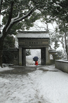 雪后院落