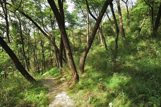 河北省石家庄市灵寿县秋山风景区