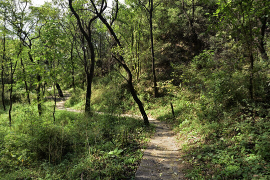 河北省石家庄市灵寿县秋山风景区