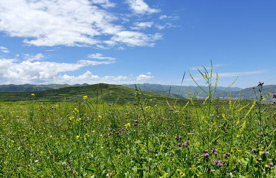 夏日乡村