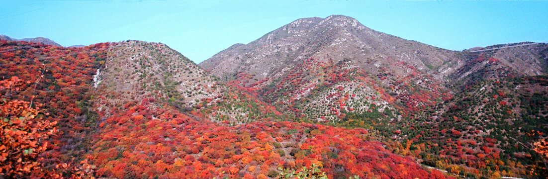 北京顺义舞彩浅山红叶