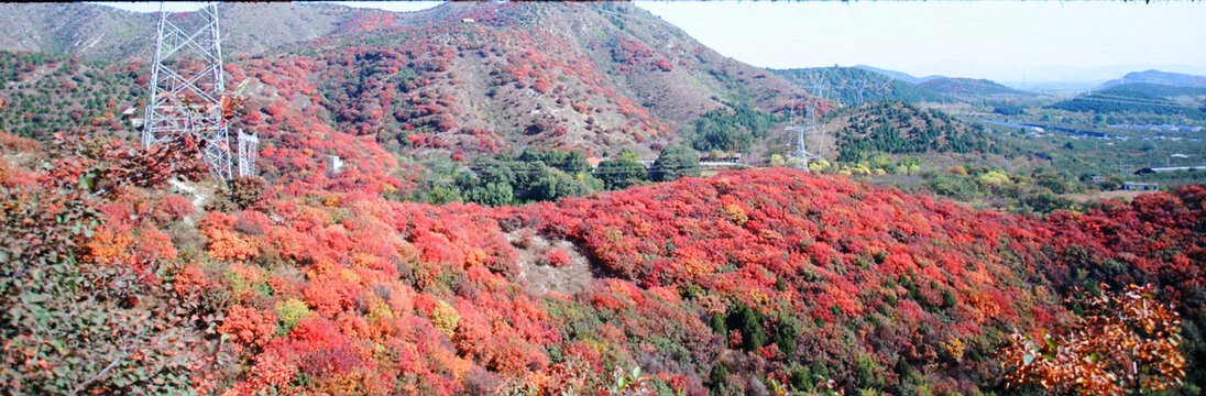 北京顺义舞彩浅山红叶