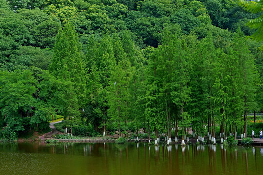 重庆彩云湖湿地公园