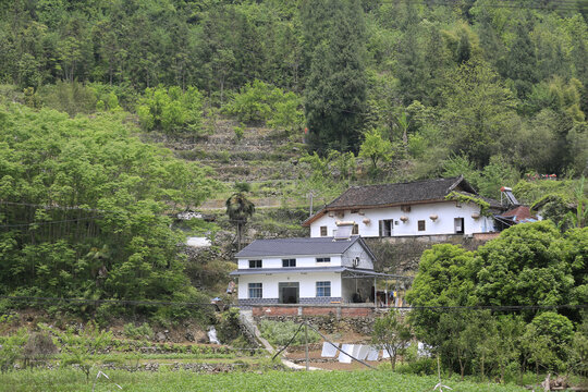 山里人家