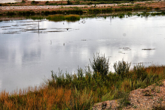 漠河老槽河湿地