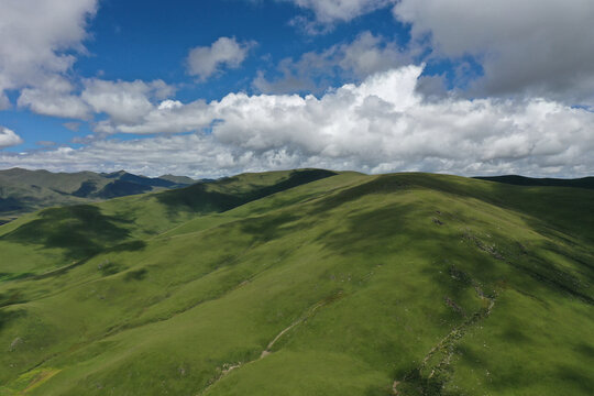 青海高山草甸蓝天白云