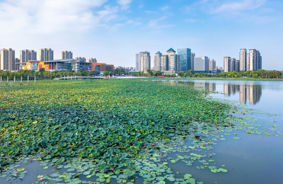 扬州明月湖城市环境