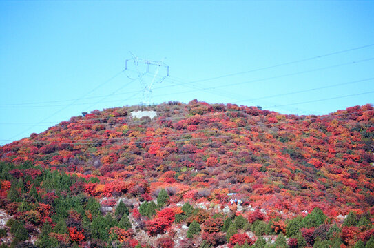 北京顺义舞彩浅山红叶