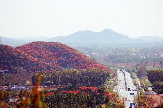 北京顺义舞彩浅山红叶