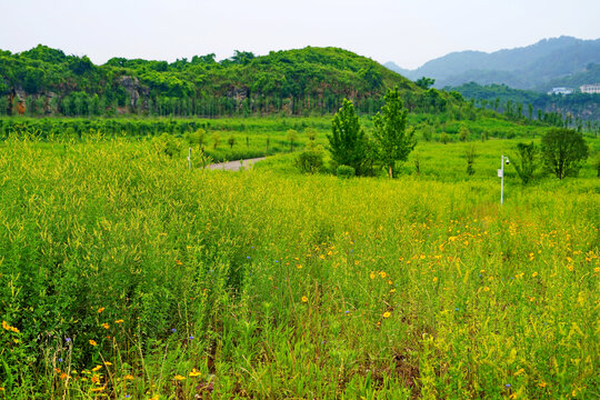 重庆南山南矿山公园