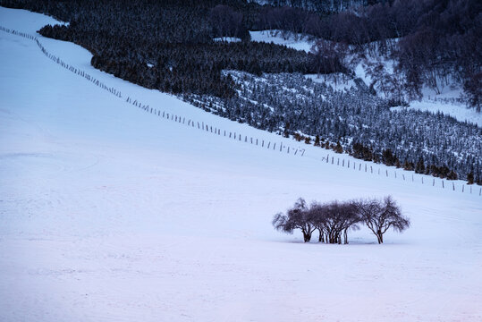 坝上雪景