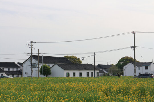 上海庄行镇农艺郊野公园