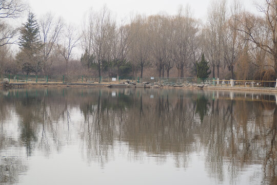 冬日湖景
