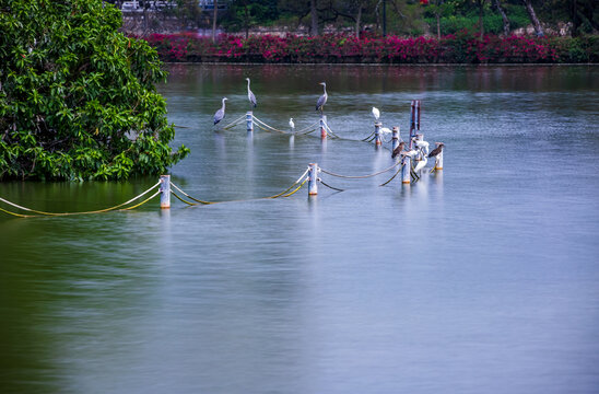 惠州西湖风景名胜区