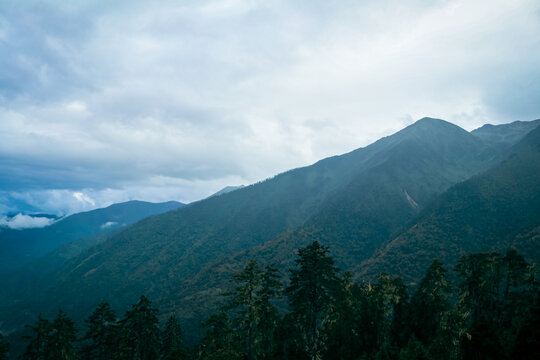 云南白马雪山