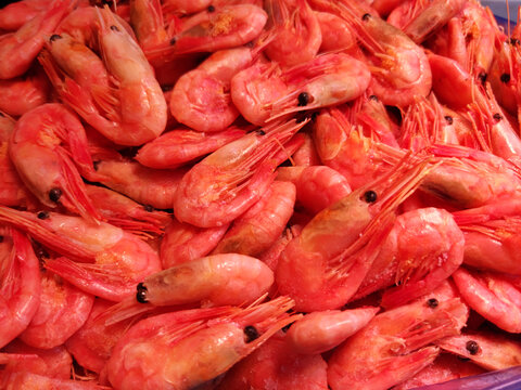 红皮虾