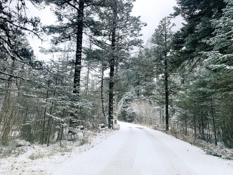 雪后山林