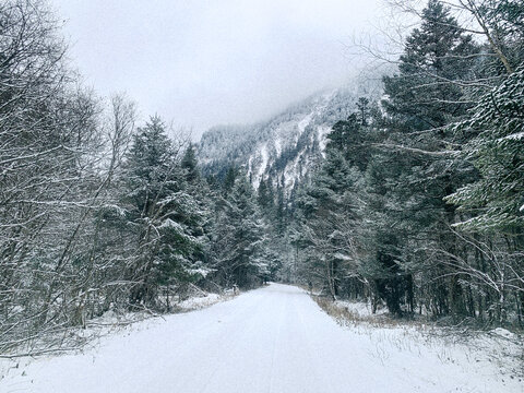 森林公路积雪