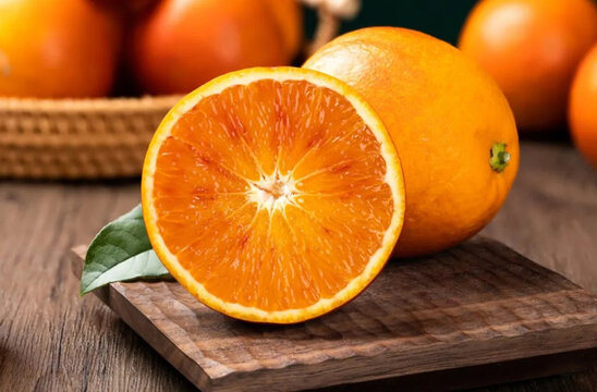 脐橙柑橘