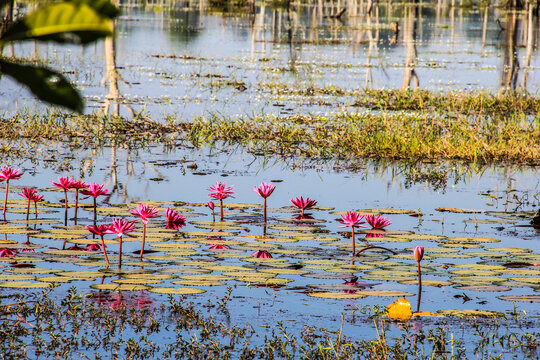 柬埔寨暹粒涅槃宫龙藩水池