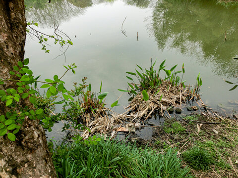 西溪湿地公园
