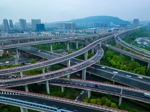 杭州小林互通高架桥月季花