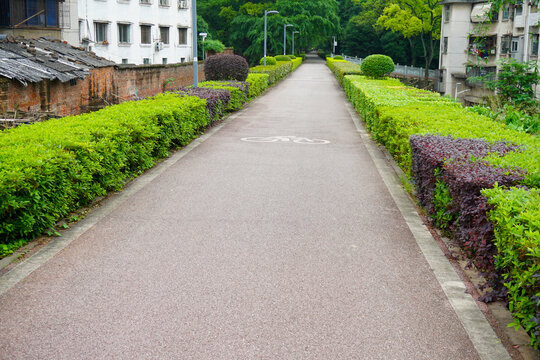 自行车步道