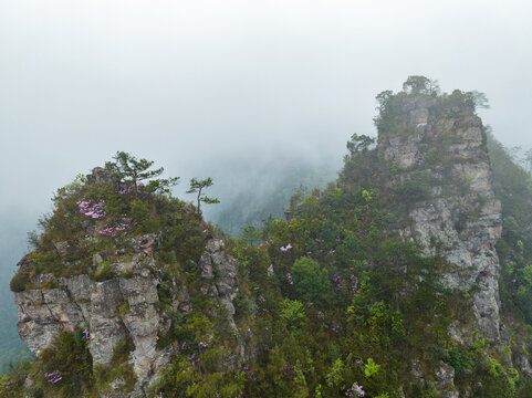 广西金秀圣堂山丹霞险峰雾海景观