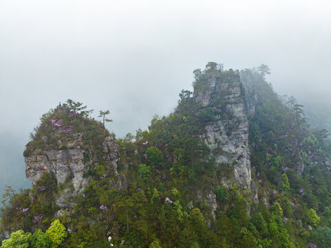 广西金秀圣堂山丹霞险峰雾海景观