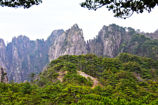 黄山风景