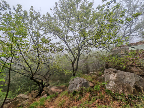 泉山云顶风景区