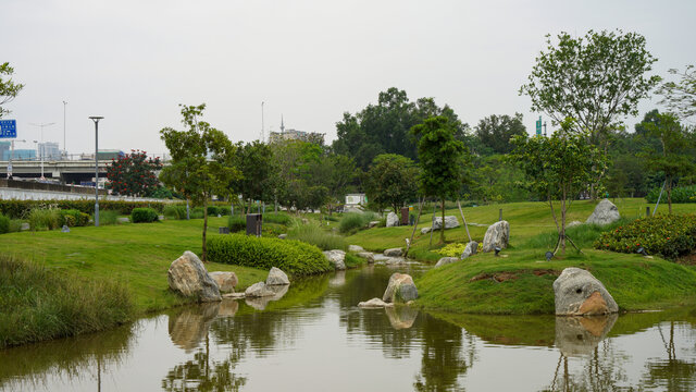 深圳光明区楼村湿地公园小溪风景