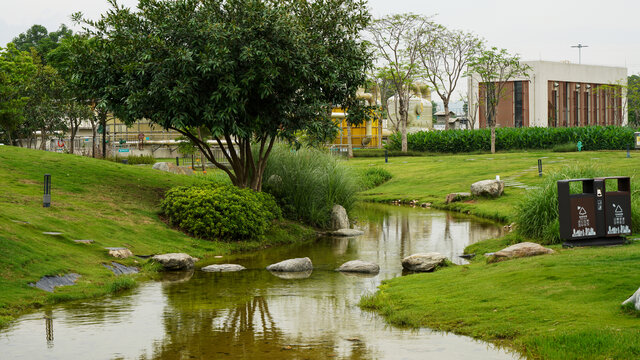 深圳光明区楼村湿地公园小溪风景