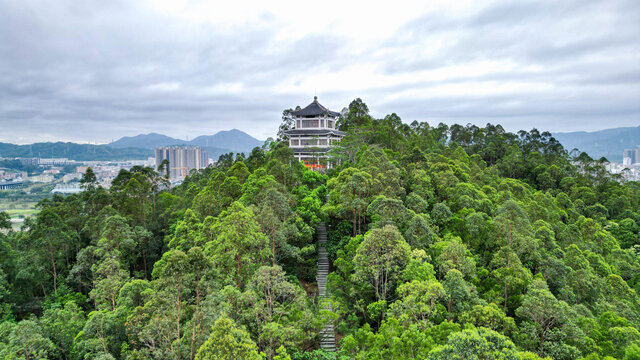 航拍深圳坪山区燕子岭公园春晖阁