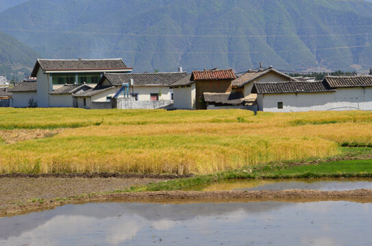 田园风光