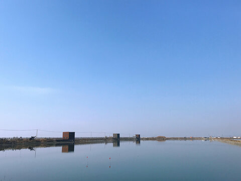 鸭绿江口湿地一景