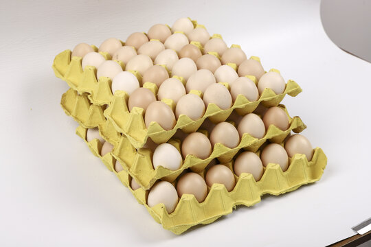 箱式鸡蛋