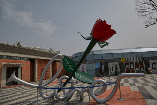 安徽省合肥市骆岗公园红玫瑰