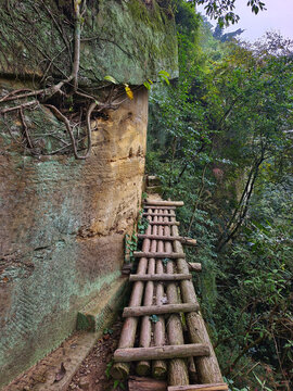 自贡荣县山路