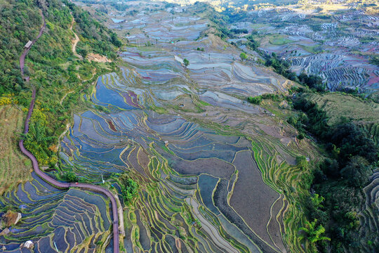 梯田风光