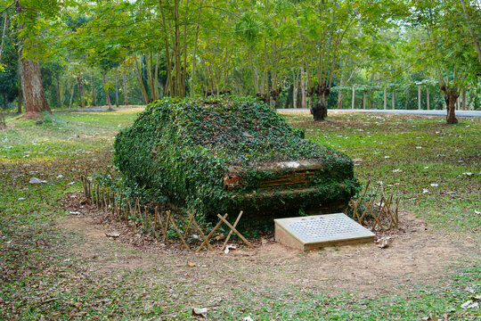 中科植物园里的木汽车
