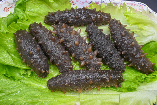 野生即食海参刺参海鲜美食