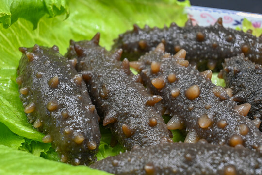 野生即食海参刺参海鲜美食