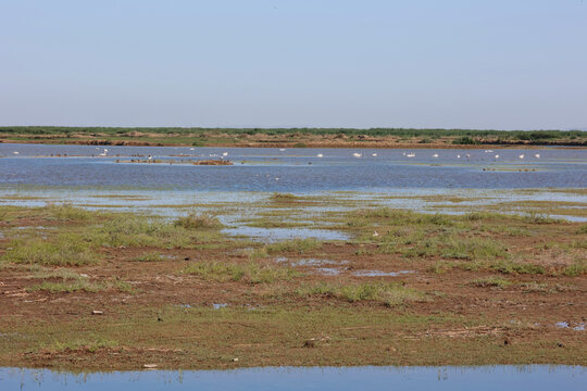 生态湿地