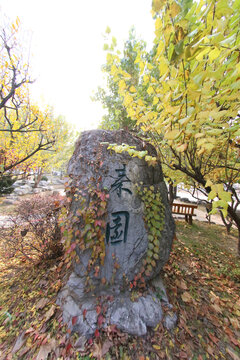 北京语言大学来园